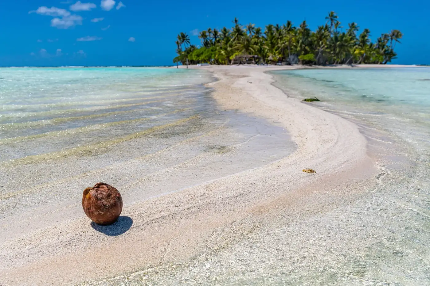 Atollo delle Tuamotu